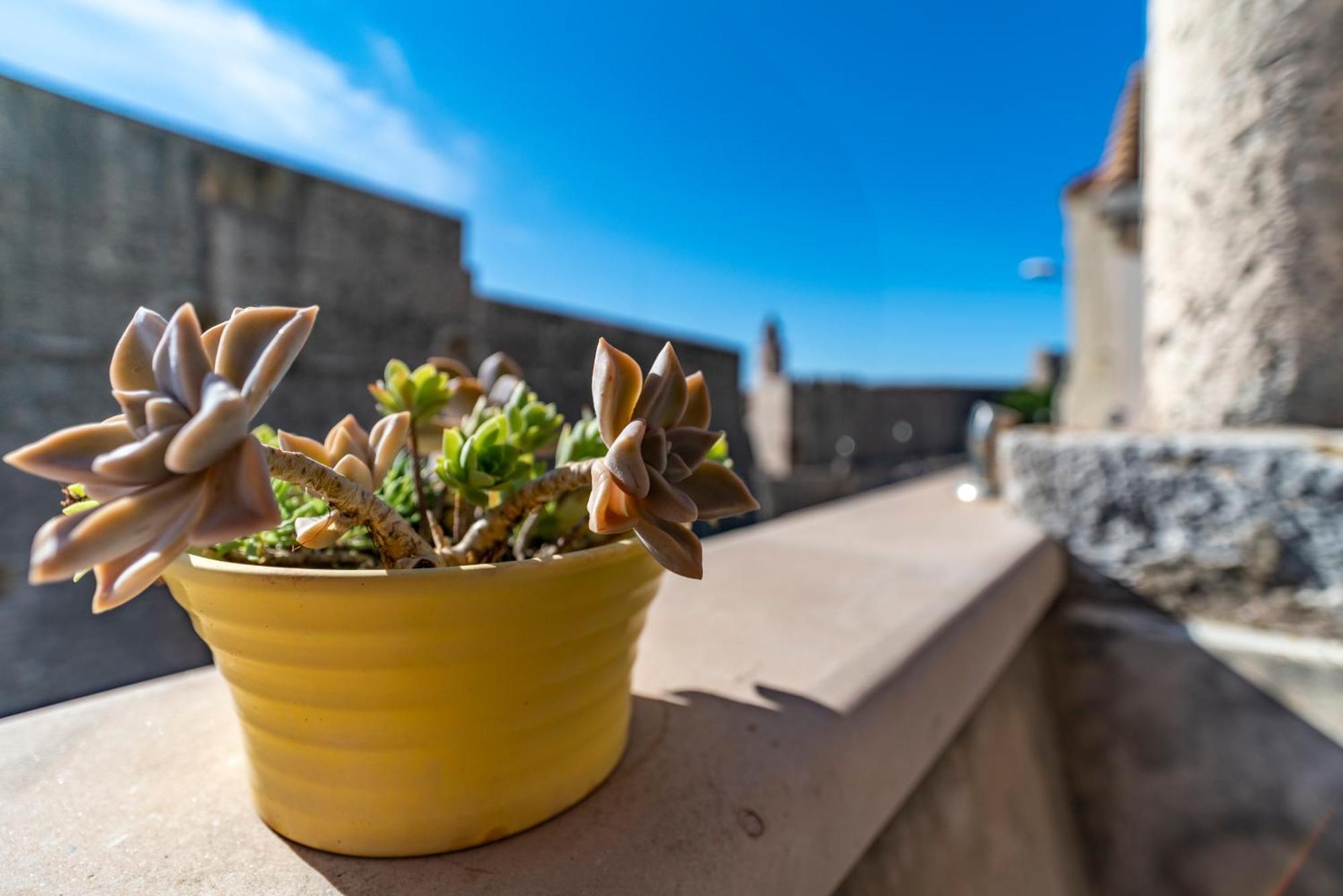 Villa Ragusa Vecchia Eksteriør bilde