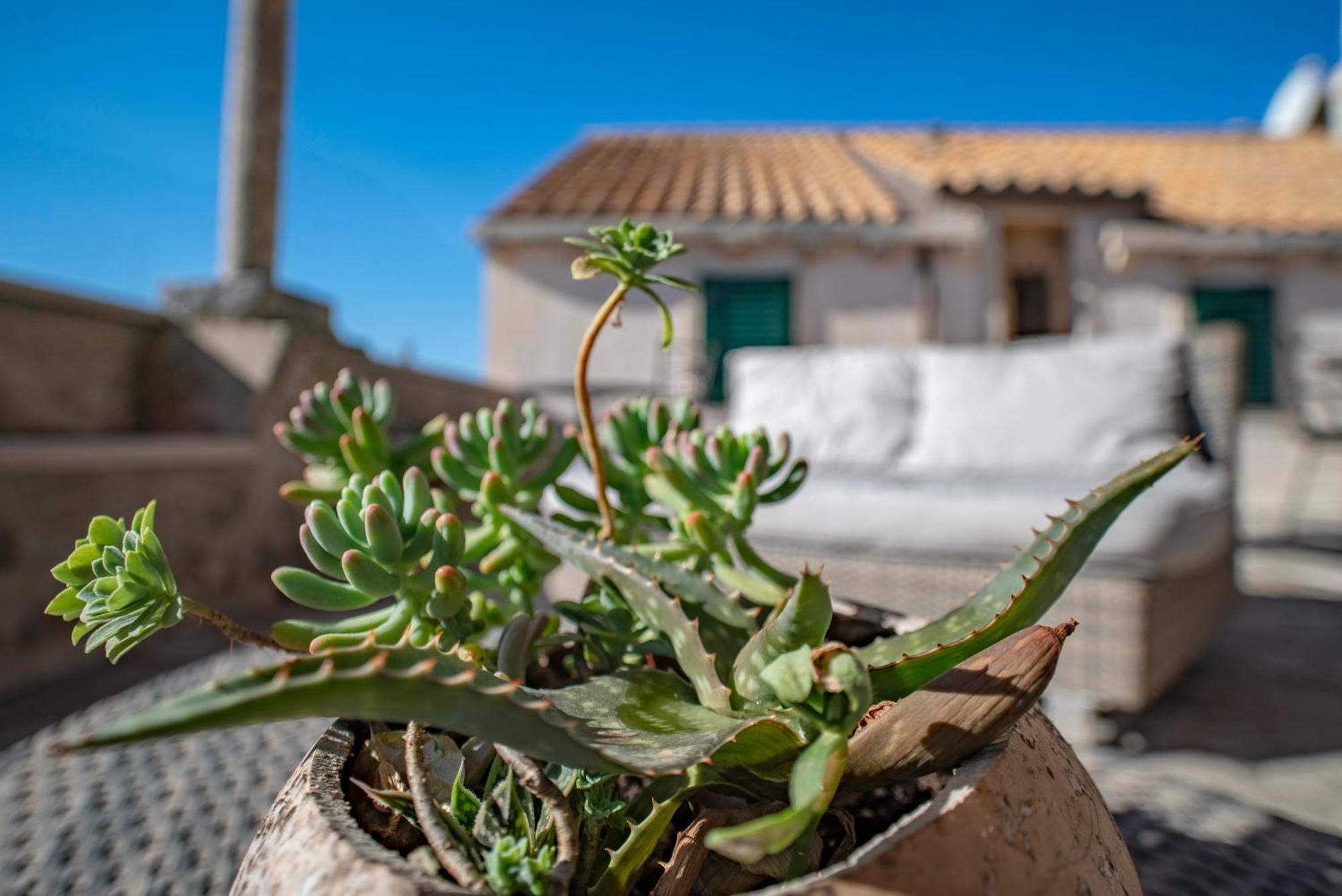 Villa Ragusa Vecchia Eksteriør bilde
